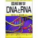  иллюстрация широкие познания DNA.RNA/ холм ...( автор ), Narita . отвечающий ( прочее )