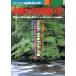  средний размер камера. способ применения серии японский камера No.111/ Япония камера фирма 