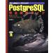 PC UNIX пользователь поэтому. PostgreSQL совершенно .. гид совершенно свободный. super база даннных / Ishii . Хара ( автор )
