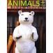 ANIMALS+ MISAWA ATSUHIKO/ три . толщина .( автор )