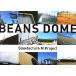 . глициния превосходящий flat / beans купол slow tech коричневый -M Project /. глициния превосходящий flat [ сборник работа ]