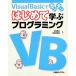 Visual Basic. simple впервые ... программирование [ впервые ... программирование ] серии /....,..
