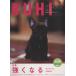 BUHI Vol.6/ хобби * устройство на работу гид * квалификация 
