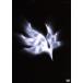 orbital period/BUMP OF CHICKEN