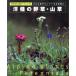 . вид. травы * гора . маленький двор . контейнер .. цветок поле .NHK хобби. садоводство садоводство 21/ Япония радиовещание выпускать ассоциация 
