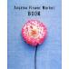 Aoyama Flower Market BOOK/Aoyama Flower Market[ работа ]