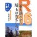 R16 2 -слойный человек . поэтому Saitama. интересный ./....( автор )