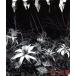 ain��t afraid to die/DIR EN GREY
