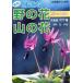  цвет другой . близко ... Hanayama. цветок карман иллюстрированная книга /.. лист книжный магазин 