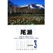  хвост .yama Kei Alpen гид 3/ цветок поле день более того [ работа ]