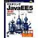  master кольцо JavaEE5 разработка производство .. повышать Java каркас. стандарт specification /. глициния ..[ работа ]