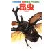  insect Shogakukan Inc.. illustrated reference book NEO POCKET1| small .. one, Ono exhibition ., Machida dragon one ., rice field side power [ guidance *. writing brush ], forest on confidence Hara, tube .., new ..[ another photograph 