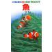  рыба Shogakukan Inc.. иллюстрированная книга NEO POCKET3/. рисовое поле .[..*. кисть ], утро день рисовое поле стол [ руководство *. кисть ], сосна .. один, индиго . правильный ., скала 