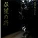 . дорога. line ограничение нет подлинный .. запрос . Ikeda . фотоальбом / Ikeda .[ работа ]