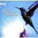  Hamming bird / The * колпак tivu* Hearts 