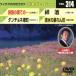 ... ... ***/ Dan chone Minatomachi /. sake / Shimizu. ..../( караоке )