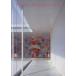  сестра остров мир .+ Nishizawa .. читатель -2005/ сестра остров мир .( автор ), Nishizawa ..( автор )