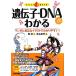 ...*DNA. понимать manga (манга) . изобилие . иллюстрации ... задний ..! First книжка / лето зеленый [ документ ], подлинный 