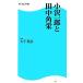  маленький . один .. рисовое поле средний угол . Kadokawa SSC новая книга / большой внизу Британия .[ работа ]