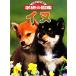  собака новый широкий Gakken. иллюстрированная книга / Japan kene Lucra b