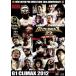 G1 CLIMAX 2012~THE ONE&amp;ONLY~/( боевые искусства ), полки ..., маленький остров .,. рисовое поле .., Karl * нижний so