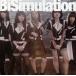 BiSimulation/BiS