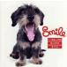 Smile(DVD есть )/T-SQUARE SUPER BAND,. бамбук ..,. глициния полный, рисовое поле средний . снег, рисовое поле средний .., Miyazaki ..,. волна Kiyoshi 