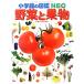  овощи . фрукты Shogakukan Inc.. иллюстрированная книга NEO20/ камень .hiroyuki( автор ), доска дерево выгода ., поле средний . осень, три колесо правильный ., дуть 
