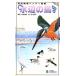  новый птицы побережья модифицировано . версия дикая птица наблюдение портативный иллюстрированная книга / дешево запад Британия Akira,.. высота .