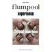 flumpool experience BAND SCORE/ Yamaha музыка носитель информации 
