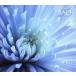 < Heartfull * Classic >1... есть ~.ba -. ../( Classic ),ne vi ru* Мали na-(cond),