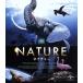  nature (Blu-ray Disc)/( документальный ),. река Chris teru( Navigator ), Neal * Найтингейл 