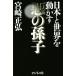  Япония . мир . перемещение .. плохой. ../ Miyazaki правильный .( автор )