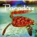 PARADISE(DVD есть )/T-SQUARE