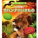  щебетать голос ... мелкие сколы от камней выставлять книга с картинками Savanna. . кимоно звук . выходить только . иллюстрированная книга / сейчас Izumi . Akira 