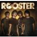 [ зарубежная запись ]Rooster/ разрозненный ta-