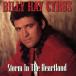 [ зарубежная запись ]Storm in the Heartland/bi Lee * Ray * Silas 