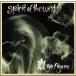 [ зарубежная запись ]Go Figure/SpiritOfTheWest