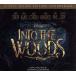 [ зарубежная запись ]Into the Woods/ Stephen *sondo высокий m