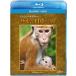  Disney nature / обезьяна. королевство . эта . Blue-ray +DVD комплект (Blu-ray Disc)/( документальный 