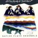 [ зарубежная запись ]Gathering of Shamen/Native Flute Ensemble