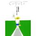 Coyote(No.58) специальный выпуск : Anzai Mizumaru интересный изобразительное искусство 1 год сырой / переключатель *pa желтохвост sing( автор )