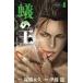 .. .(4) Shonen Champion C/. глициния дракон ( автор ),. бок долгосрочный 