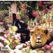 ͢סMAJOR KEY/DJ