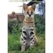  фотоальбом сервер ru park LEPTAILURUS SERVAL PHOTO MOOK SUN-MAGAZINE MOOK/ юг ширина Shunsuke 
