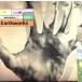 ��͢���ס�Earthworks Dig��/�ӥ롦�֥롼�ե����ɡ�