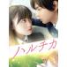  Hal chika роскошный версия (Blu-ray Disc)/ Sato . выгода, Хасимото ..,. сосна .., город .. превосходящий ( постановка, ножек книга@),