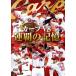  carp V8 полосный .. память / Hiroshima Toyo Carp 