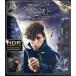  вентилятор ta палочка * Be -тактный . Mahou Tsukai. .(4K ULTRA HD+Blu-ray Disc)/( относящийся ) Harry *pota-, Эдди *