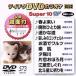 DVD караоке super 10W( новейший энка )(573)/( караоке ), рисовое поле река . прекрасный, подлинный . для ., камень ..., осень изначальный 